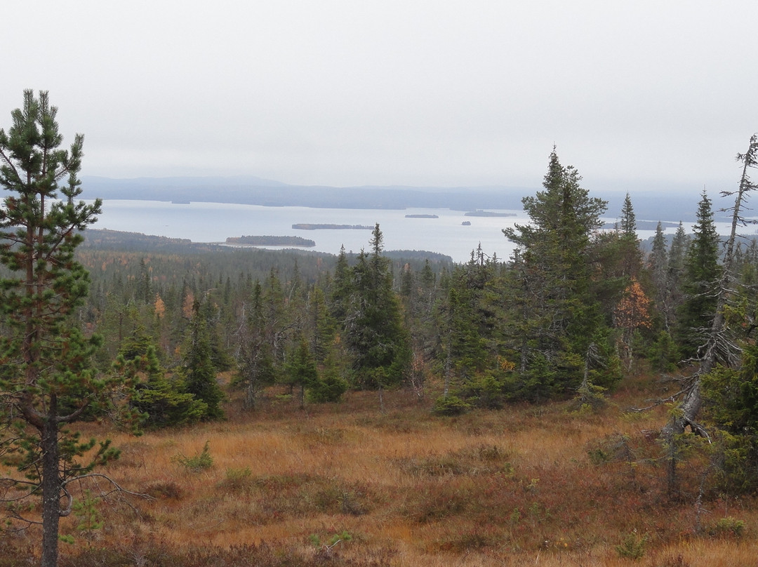 Riisitunturi National Park-Posio必去景点