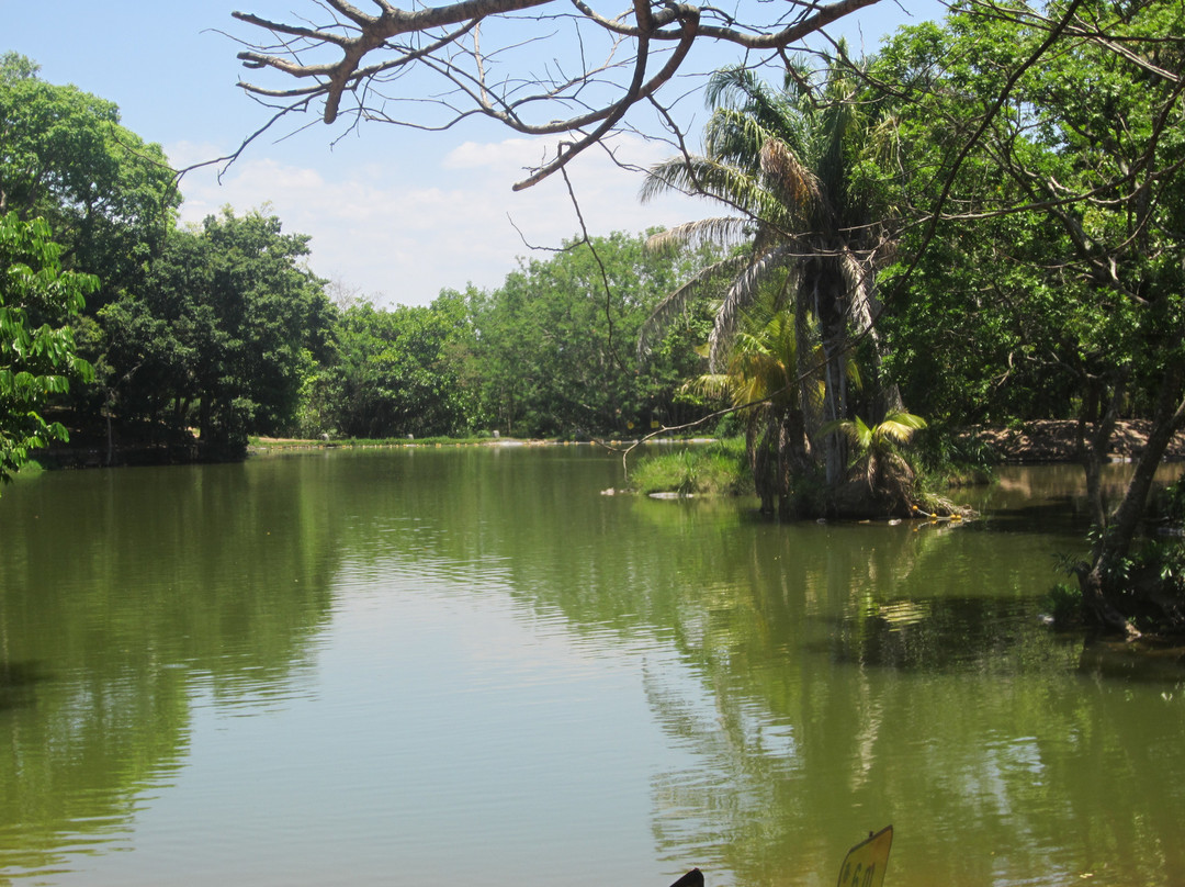 Biocentro Güembé-圣克鲁斯省必去景点