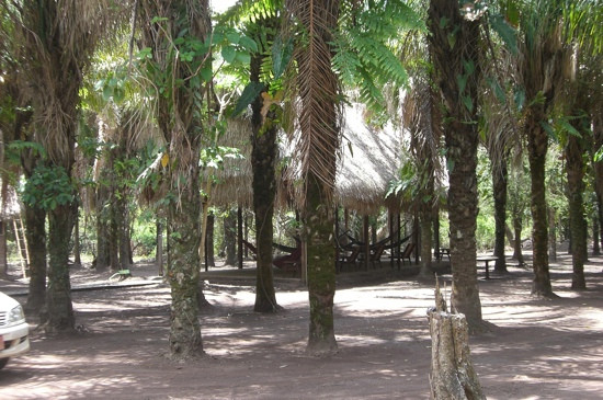 River Yacuma-Rurrenabaque必去景点