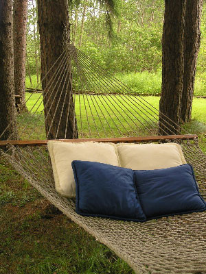 Bush Bed & Breakfast主图