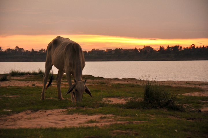 Nathan Horton Photography-金边必去景点