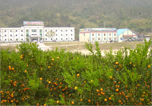 春都温泉度假村景点图片