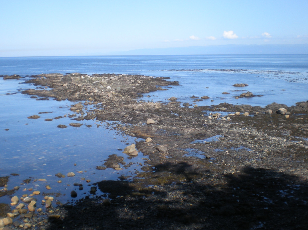 Salt Creek Recreation Area景点图片
