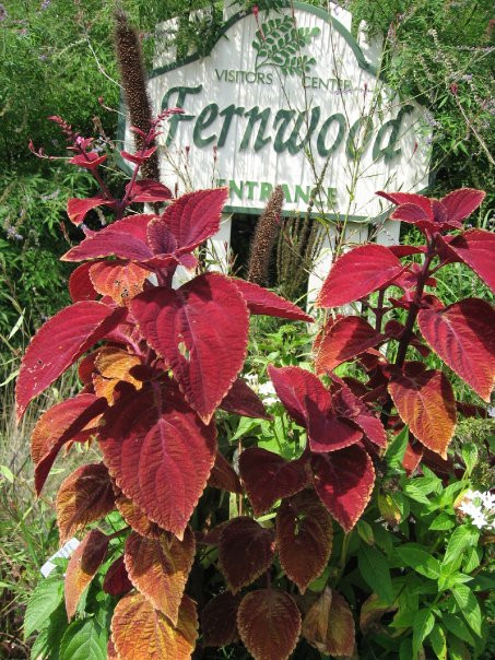 Fernwood Botanical Garden-Buchanan必去景点