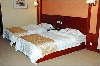 山东大卫国际酒店-客卧