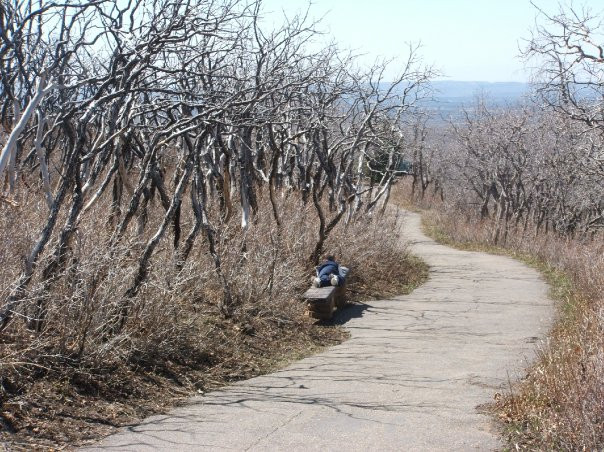 Point Lookout Trail-梅萨维德国家公园必去景点