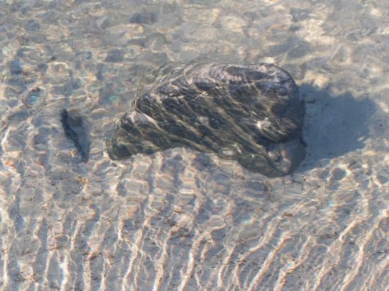 Hampton Beach State Park-汉普顿必去景点