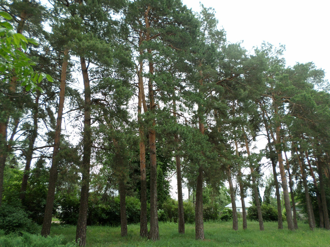 Petrushivka旅游景点-Memorial Estate-Museum of Lev Revutskiy