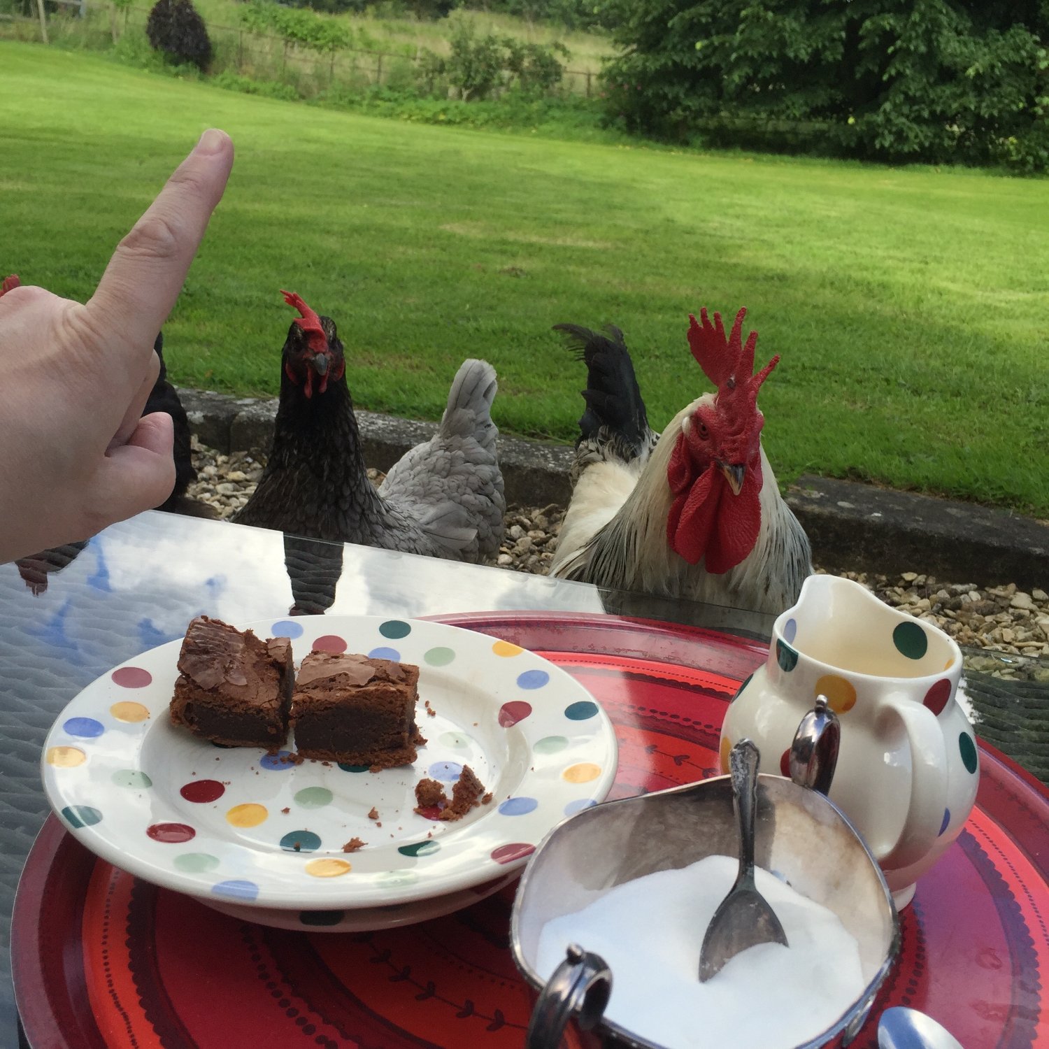 Grove Farm Bed & Breakfast-浴室