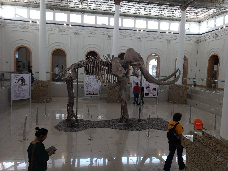 Museo De La Revolución En La Frontera景点图片