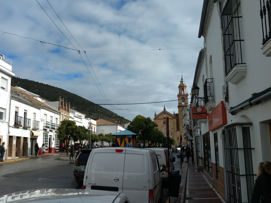 Heladeria Jijonenca