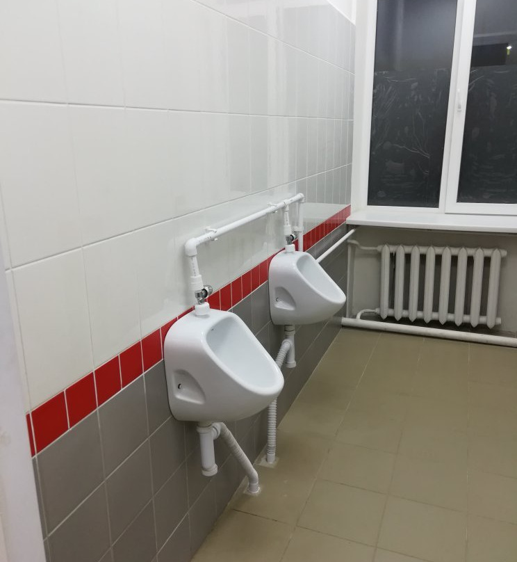 Novosokolniki Station景点图片