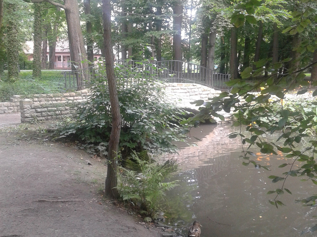 Żywiec Park景点图片