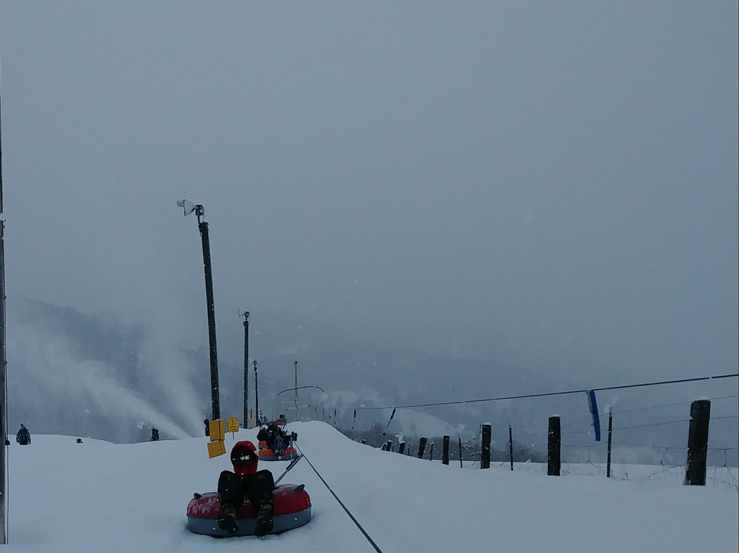 Wasatch Parc Snow Tubing景点图片