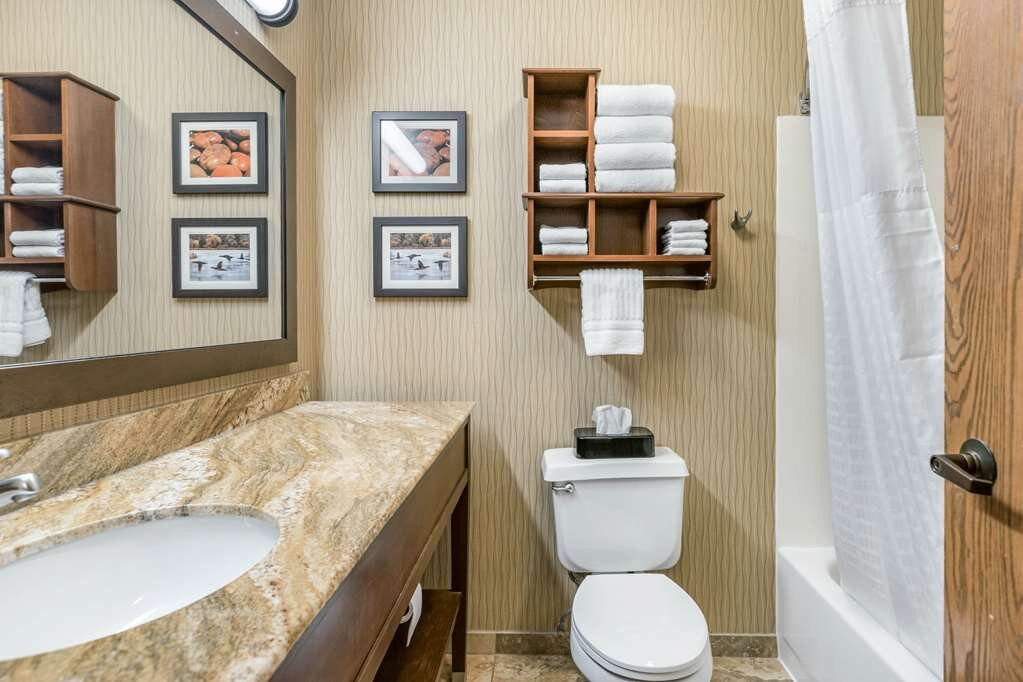 Comfort Inn Wings Stadium主图