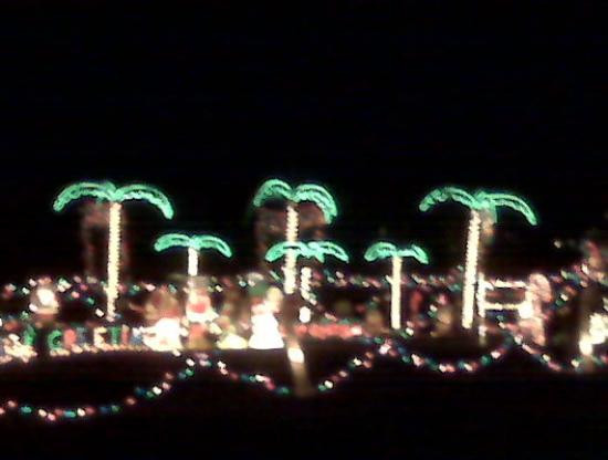 Elliston旅游攻略图片