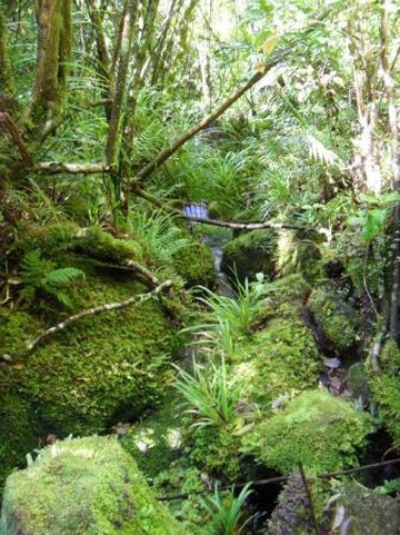 null-Abel Tasman National Park