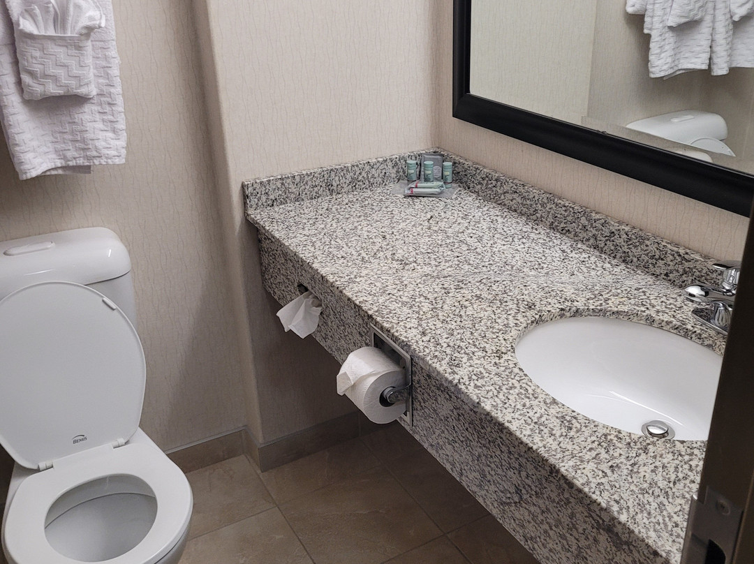 Best Western Wainwright Inn & Suites主图