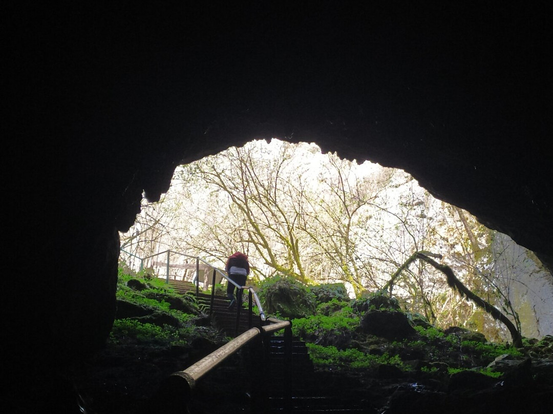 Grabovaca Cave Park景点图片
