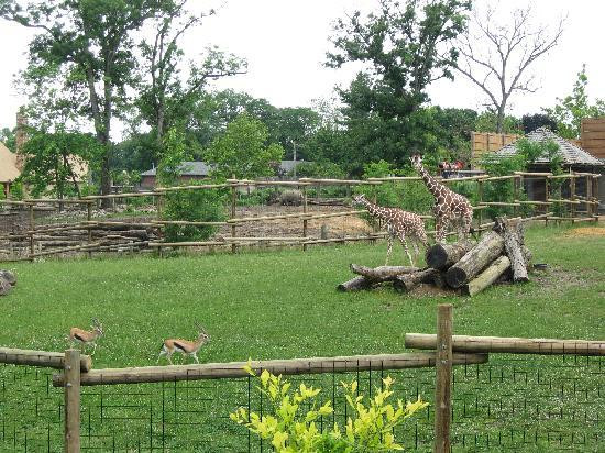 Peoria Zoo-皮奥里亚必去景点