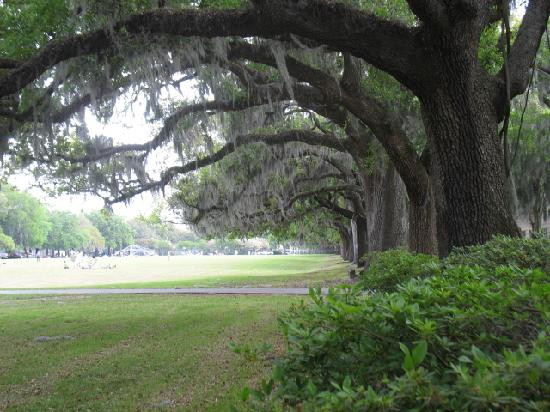 福赛思公园-萨凡纳必去景点