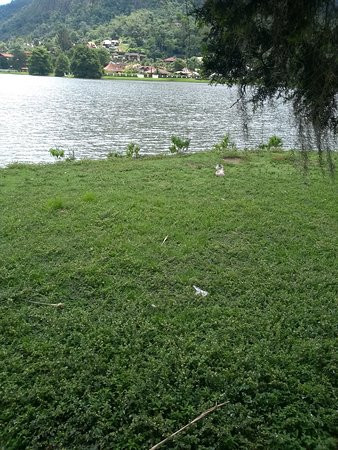 Granja Comary-特雷索波利斯必去景点