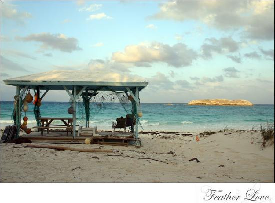 Compass Cay-外围小岛群必去景点