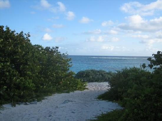 Loblolly Beach-Anegada必去景点