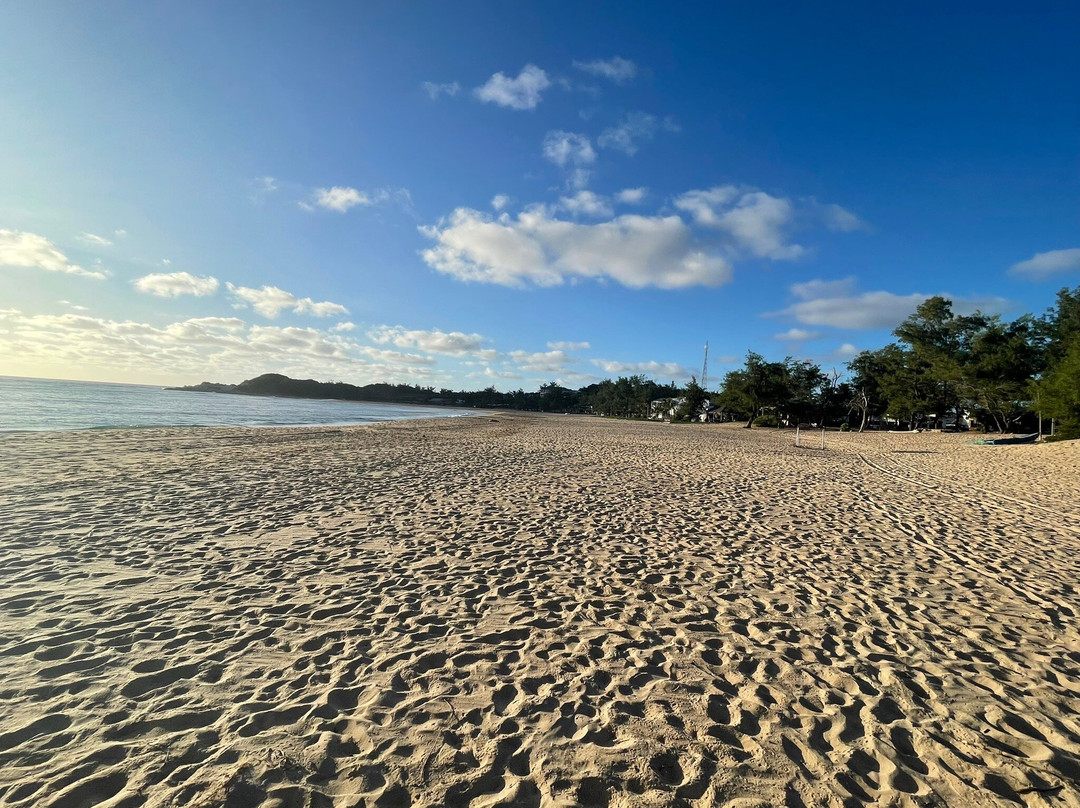 Liquid Dive Adventures-托佛必去景点