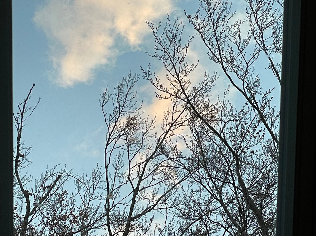 Camden Windward House主图