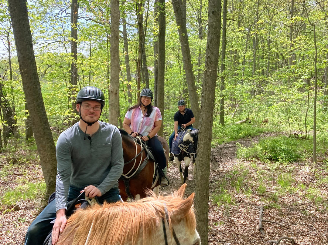 Letchworth Farm主图