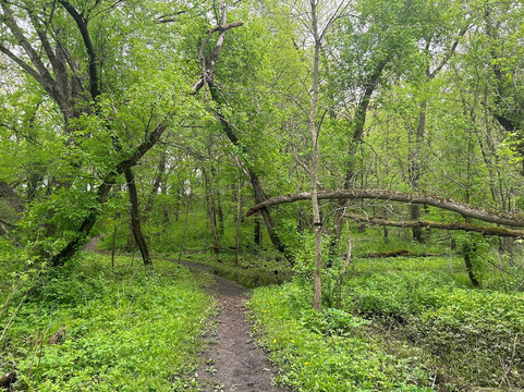 Izaak Walton Wetlands-罗切斯特必去景点