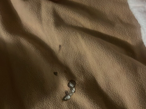 Super 8 by Wyndham Rahway/Newark主图