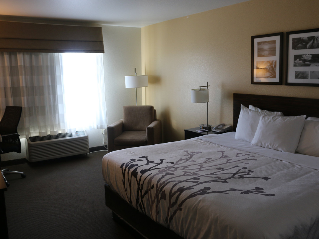 Sleep Inn & Suites Carlsbad Caverns Area主图
