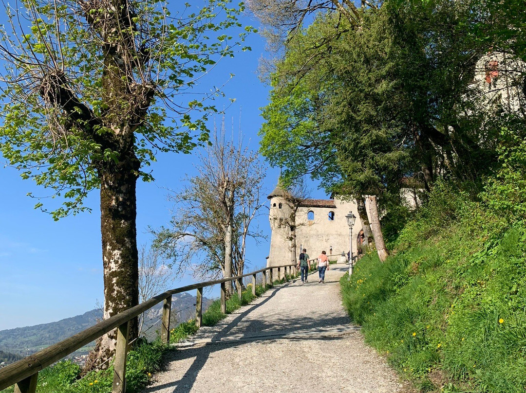 Cité Médiévale de Gruyères景点图片