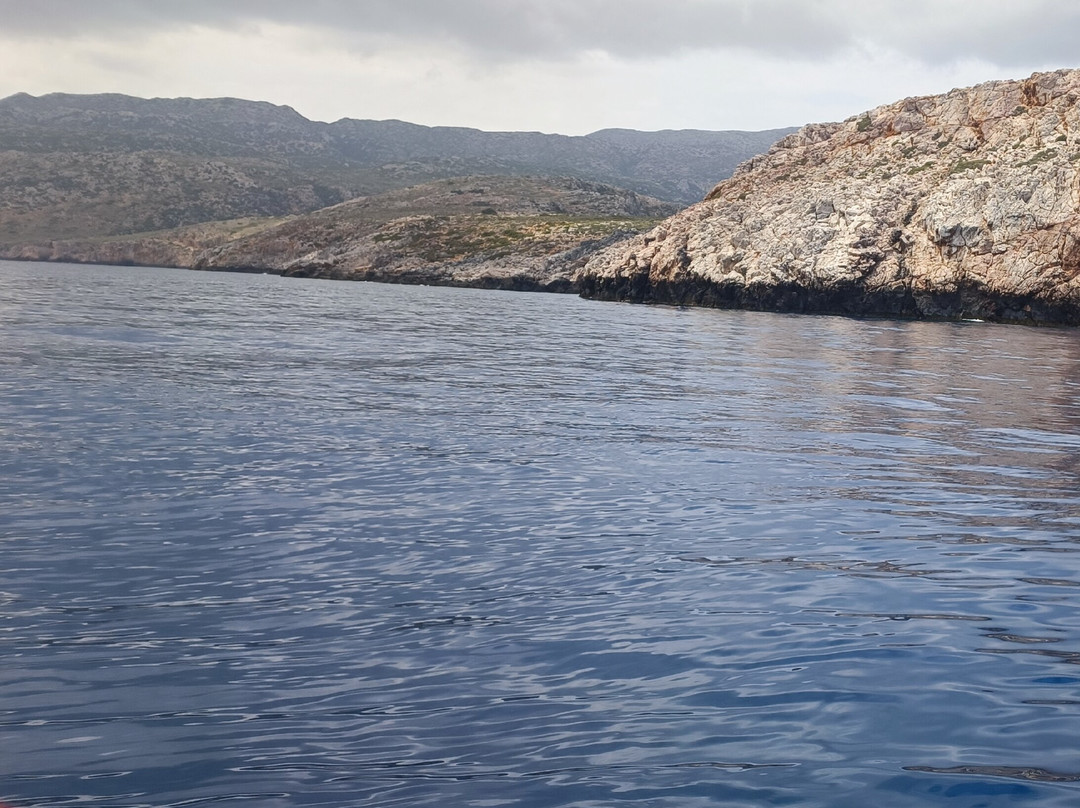 Let's Go Fishing -Chania Crete景点图片