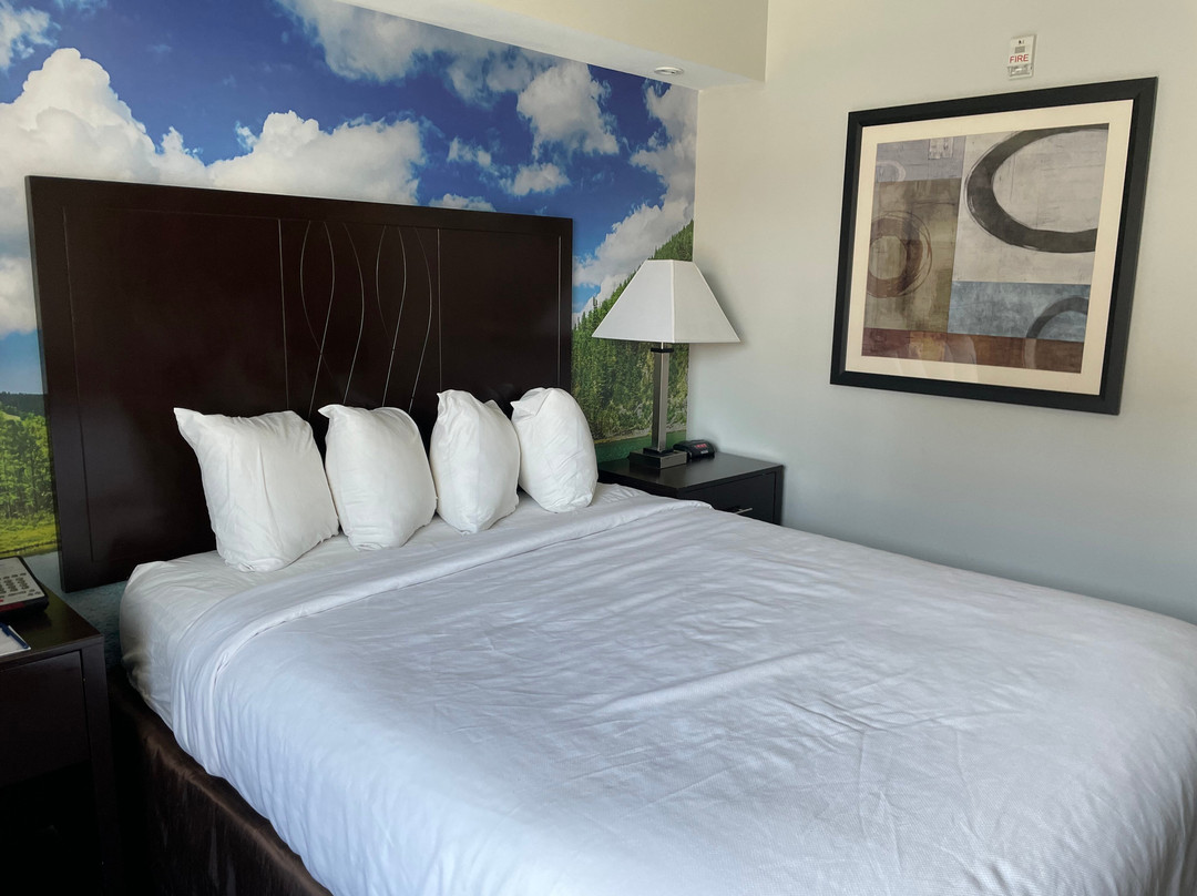 Clarion Pointe Downtown主图