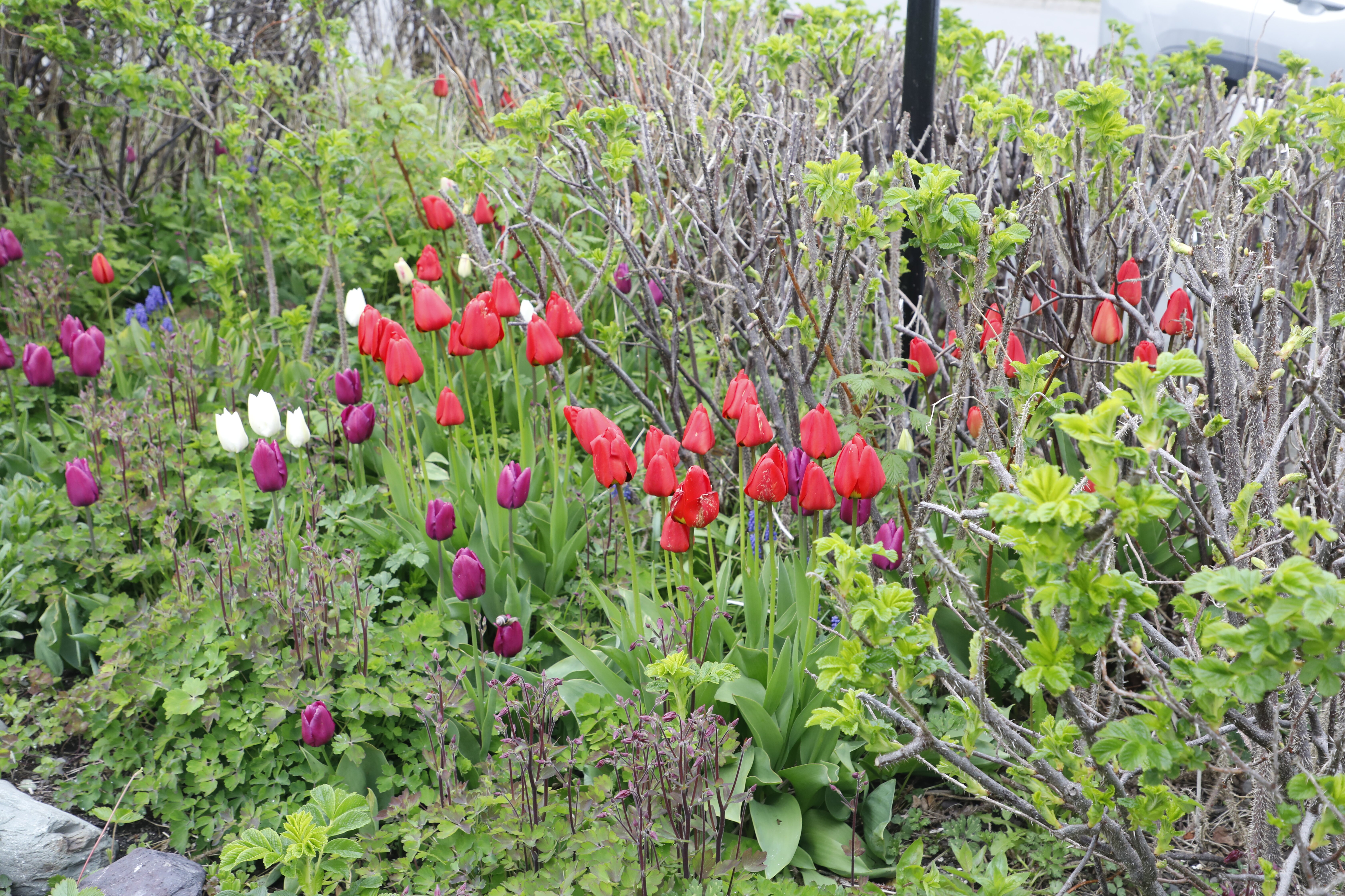 Rosedale Manor Bed And Breakfast-浴室