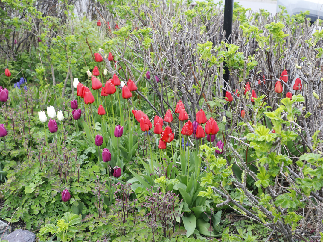 Rosedale Manor Bed And Breakfast主图