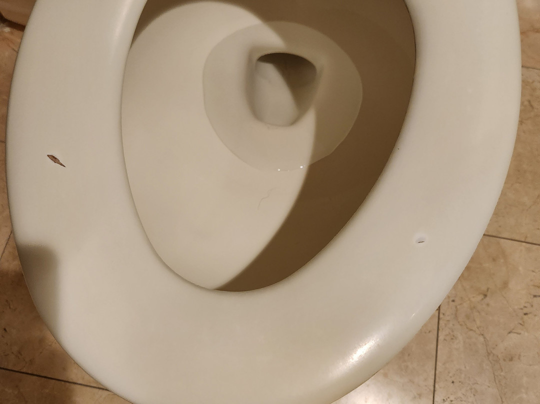 福克斯霍洛酒店主图