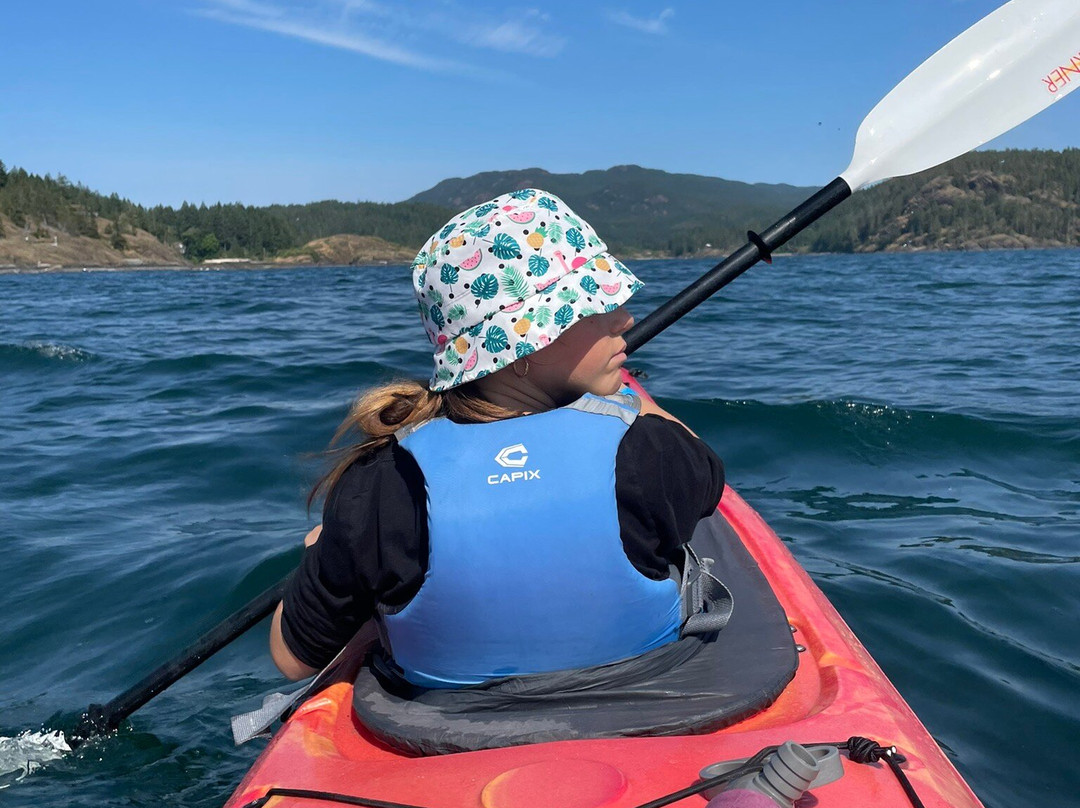 Quadra Island Kayaks - Day Tours景点图片