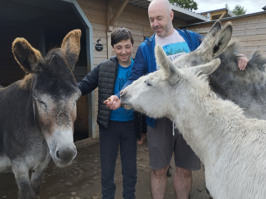 Barnhill Donkeys Retreat景点图片