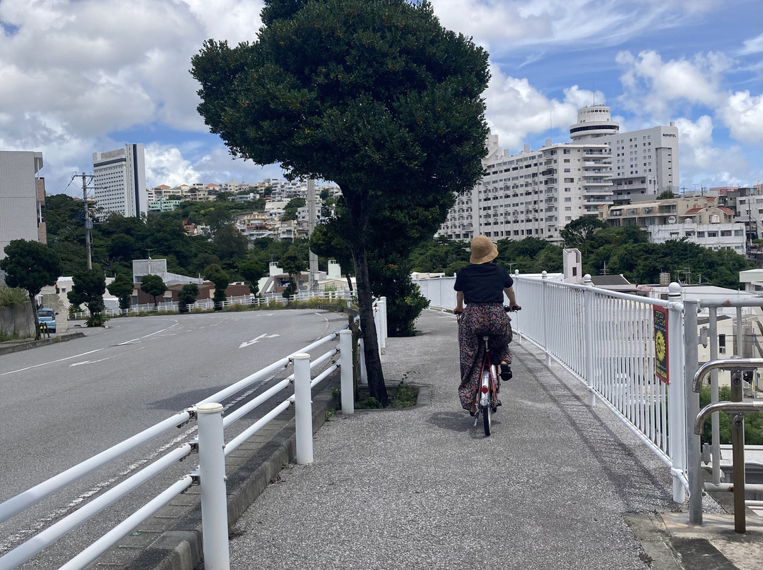 Discovery Bicycle Tours Okinawa / e-CHARIty Naha-那霸市必去景点