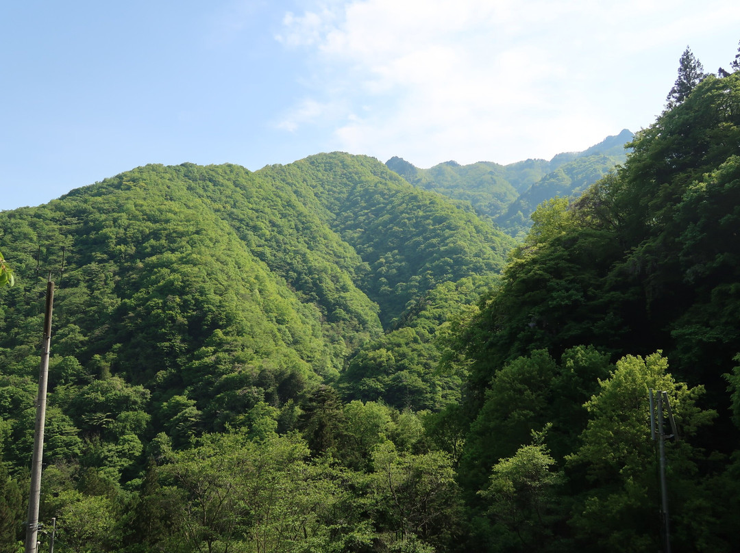 Mt. Ryokami-秩父市必去景点