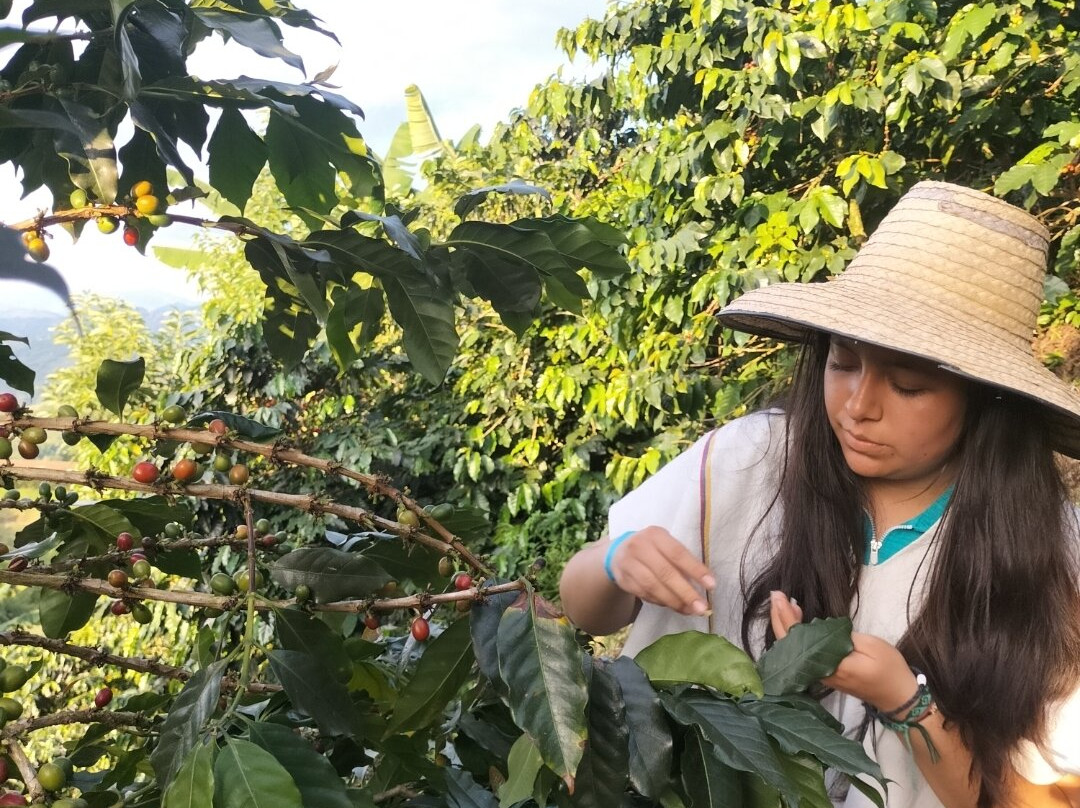 Eje Cafetero Ruta Campesina-Chinchina必去景点