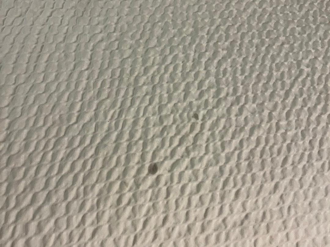 Days Inn by Wyndham Missoula Airport主图