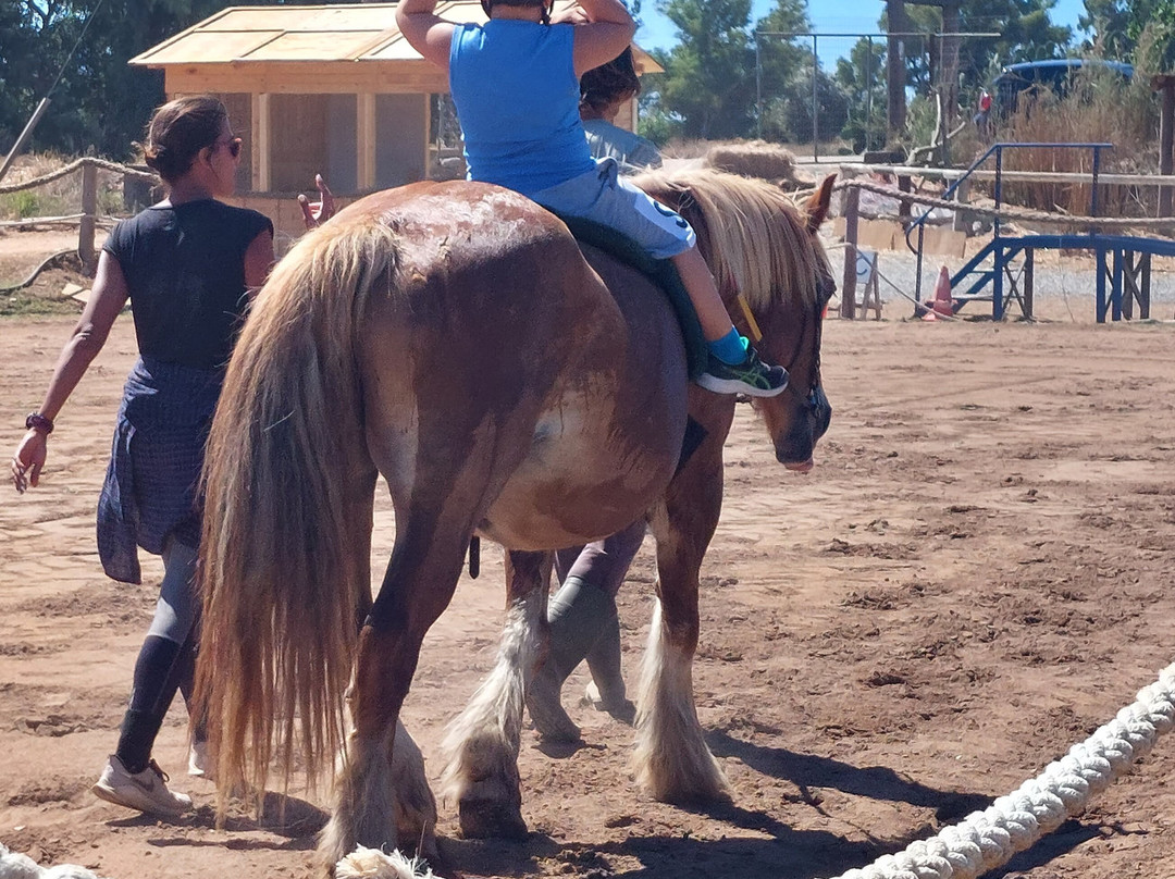 Ippikos Omilos Kalamatas-卡拉马塔必去景点