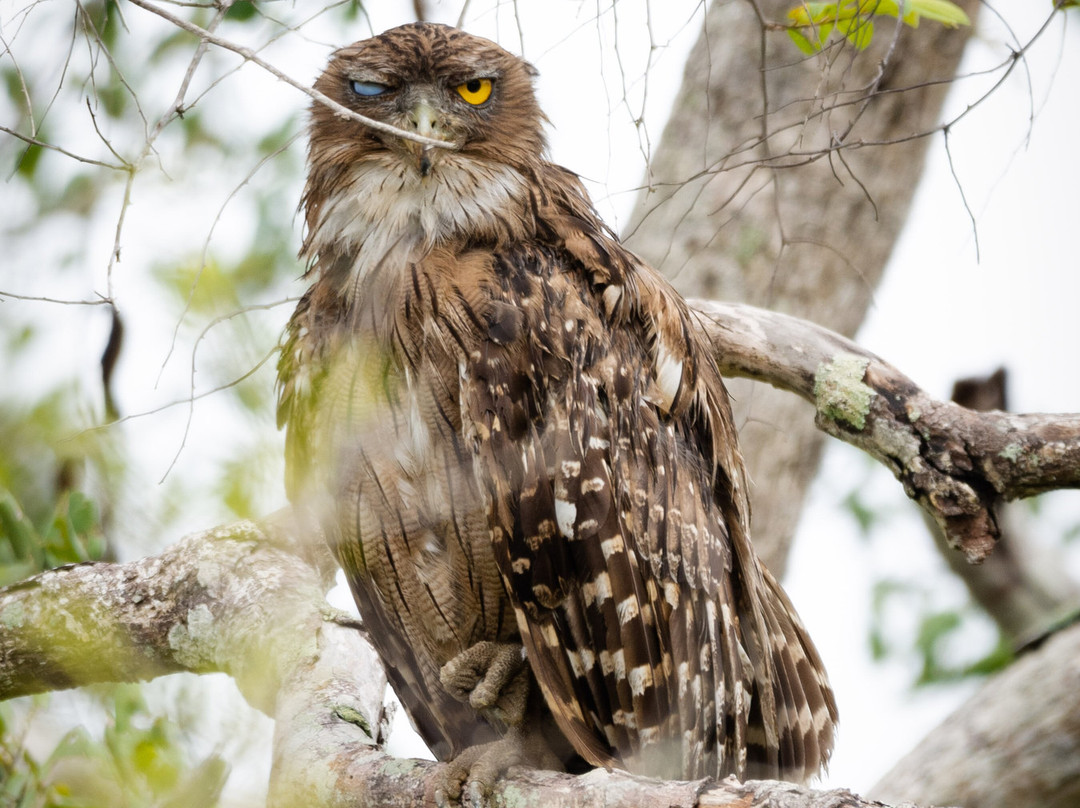 Daya Safari Jeep Service-蒂瑟默哈拉默必去景点
