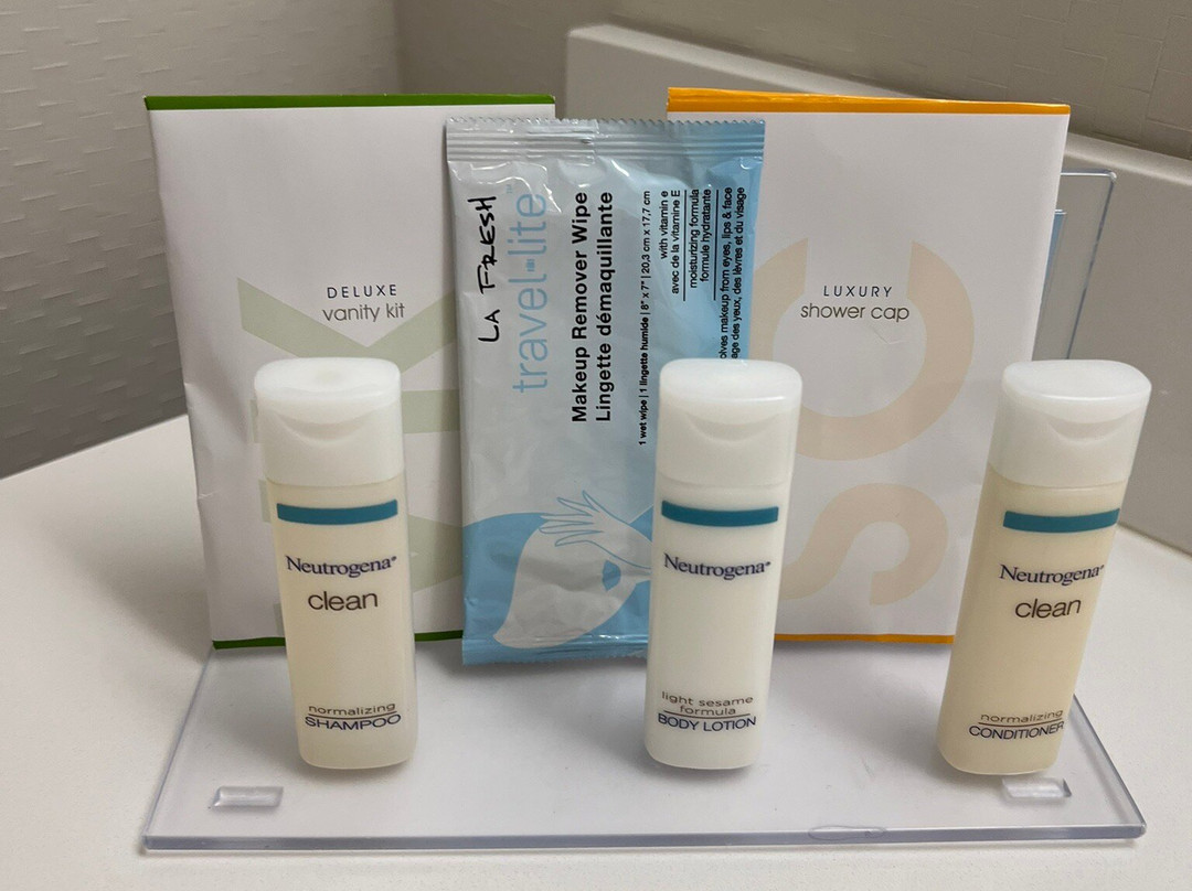 坦帕韦斯利礼拜堂希尔顿恒庭旅馆&套房酒店主图