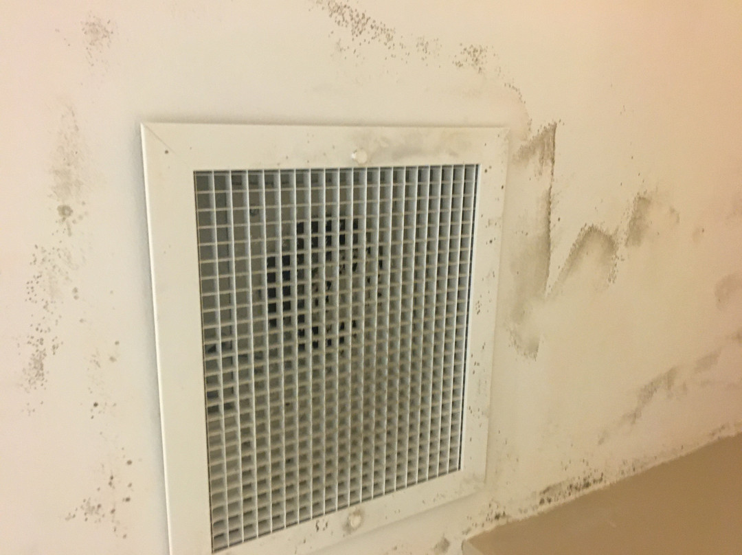 Super 8 by Wyndham Ava主图